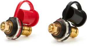 Allstar Performance ALL76139 Battery Charger Post, (Pack of 2), Red and Black Pair