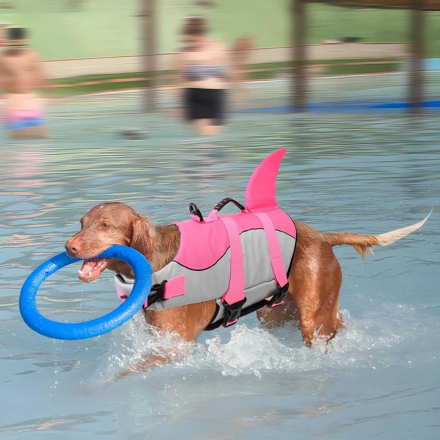 ASENKU Dog Life Jacket - Pet Safety Vest for Swimming & Boating, Shark Life Jacket with Floatation, Dog Lifesavers Swimsuits for Small Medium Large Dogs (Pink, M)