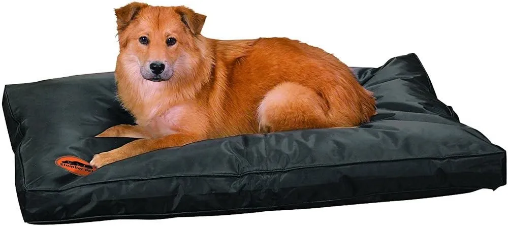 Toughstructable Beds - Stain-, Odor-, and Water-Resistant Ultra-Durable Nylon Beds for Dogs - Large, 42", Black